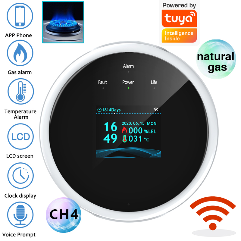 Home Security Equipment - 2.4G WiFi Gas Alarm Sensor Combustible