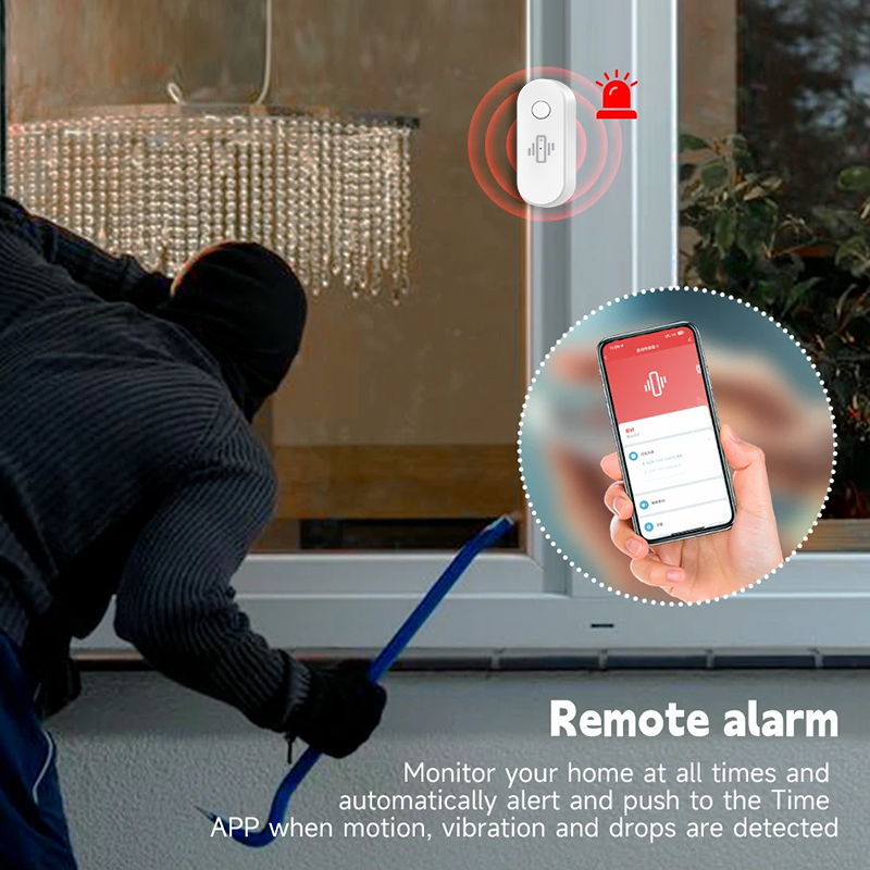 Tuya WiFi Vibration Detector G - Window Alarm Sensor 评论和价格
