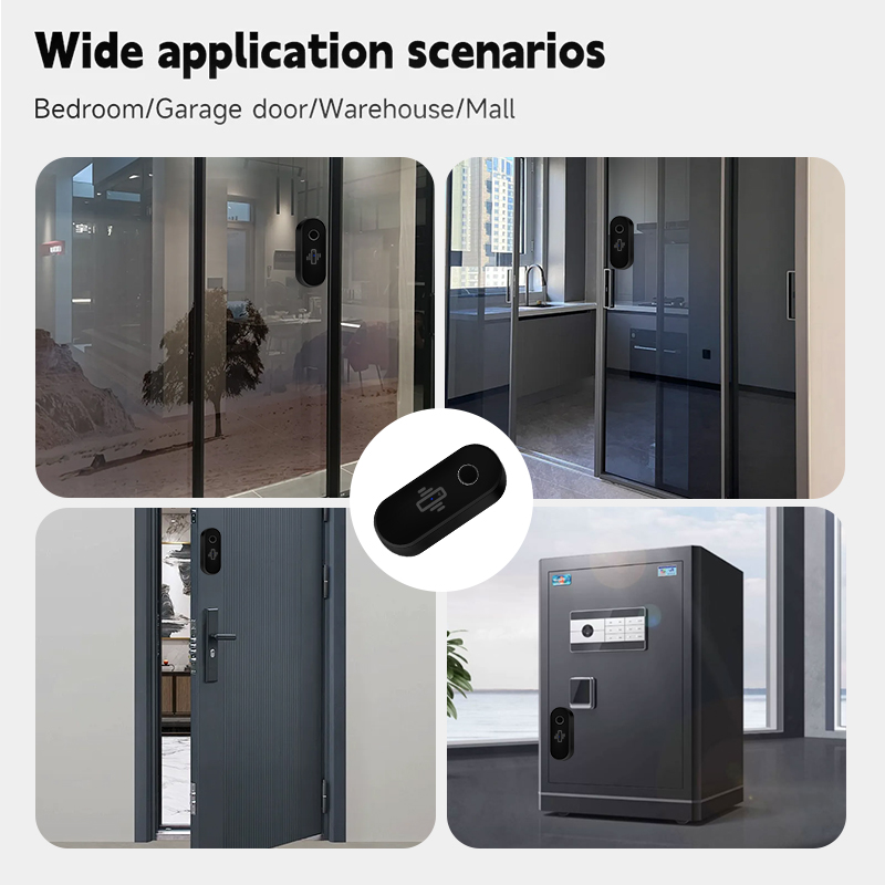 Tuya WiFi Vibration Detector G - Window Alarm Sensor 评论和价格