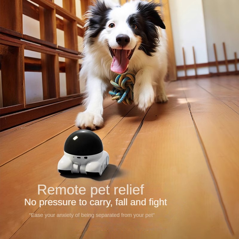 Smart Dual Lens IP Dome Robot  - Home Security Robot Dog 评论和价格