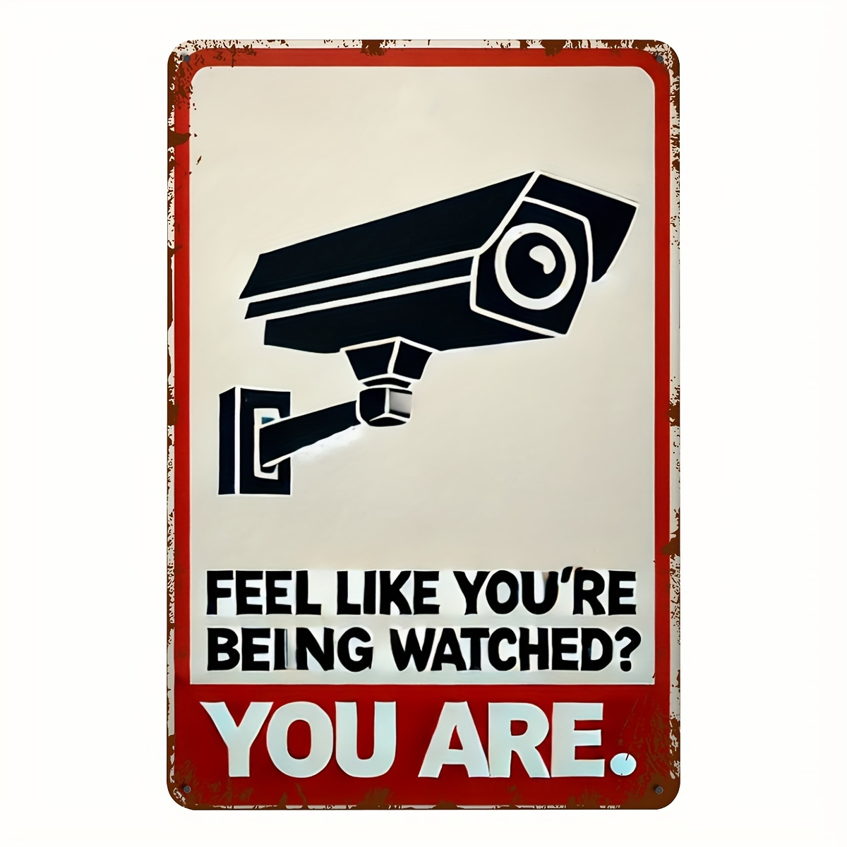 Funny Security Camera Warning  - Home Security With Camera 评论和价格