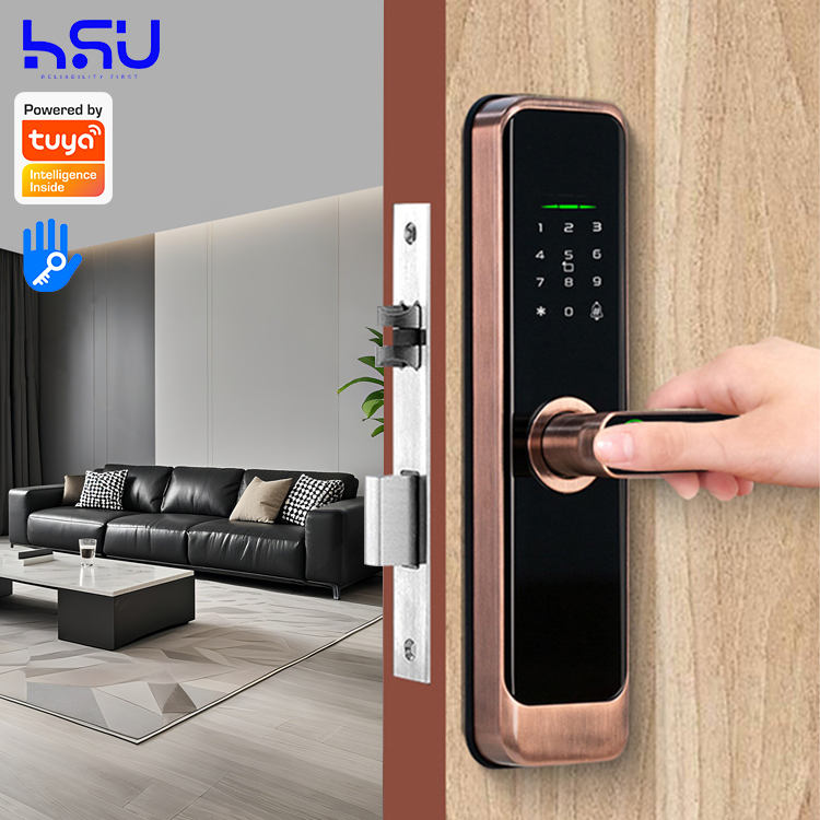 Digital Smart Doorlock Passcod - Home Security Locks 评论和价格