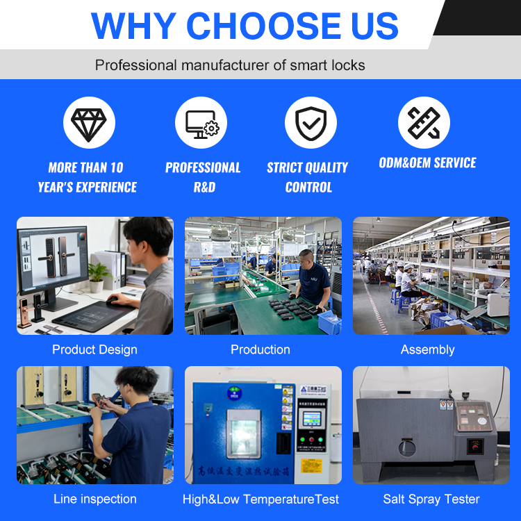 Digital Smart Doorlock Passcod - Home Security Locks 评论和价格