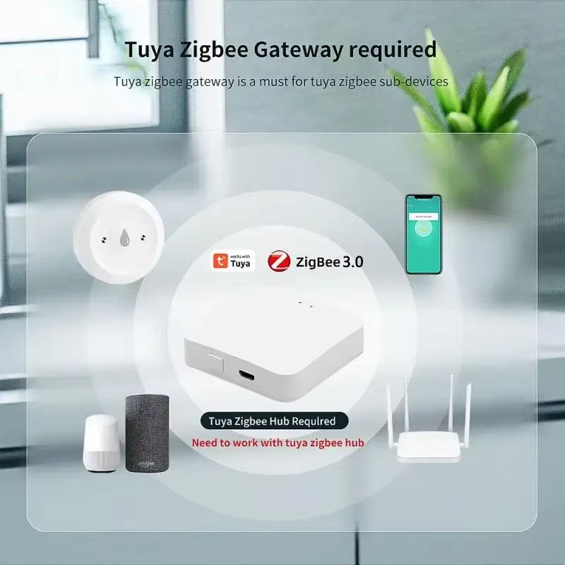 For Tuya ZigBee 3.0 Smart Wate - Home Security With Monitoring 评论和价格