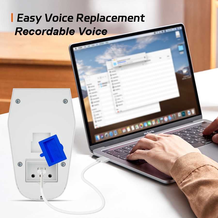 Motion Activated Voice Player  - Home Security Beams 评论和价格